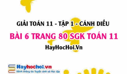 Giải bài 6 trang 80 Toán 11 tập 1 SGK Cánh Diều